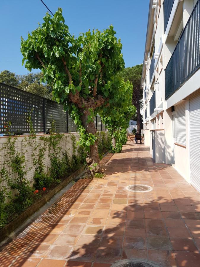 Apt Con Piscina En Calella De Palafrugell, Parking Gratuito Kültér fotó